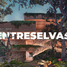  Land for sale in Valladolid, Yucatan, Valladolid