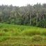  Land for sale in Selemadeg, Tabanan, Selemadeg