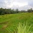  Land for sale in Selemadeg, Tabanan, Selemadeg