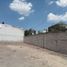  Land for rent in Guadalajara, Jalisco, Guadalajara