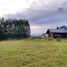  Land for sale in Llanquihue, Los Lagos, Puerto Varas, Llanquihue