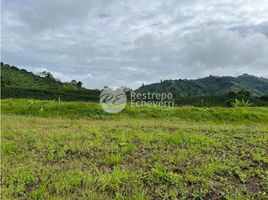  Land for sale in Manizales, Caldas, Manizales