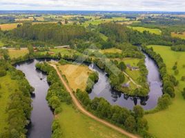  Land for sale in Chile, Puerto Montt, Llanquihue, Los Lagos, Chile