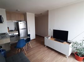 1 Habitación Apartamento en venta en Cordillera, Santiago, Puente Alto, Cordillera
