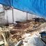 Terreno (Parcela) en venta en Sumurbandung, West Jawa, Sumurbandung, Bandung