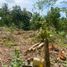  Land for sale in Sedayu, Bantul, Sedayu