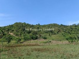  Tanah for sale in Lombok Tengah, West Nusa Tenggara, Praya, Lombok Tengah