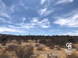  Terreno (Parcela) en venta en Huichapan, Hidalgo, Huichapan