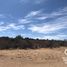  Terreno (Parcela) en venta en Huichapan, Hidalgo, Huichapan