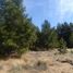  Land for sale in Rio Negro, Bariloche, Rio Negro