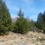  Land for sale in Rio Negro, Bariloche, Rio Negro