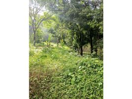  Land for sale in Colon, Salamanca, Colon, Colon