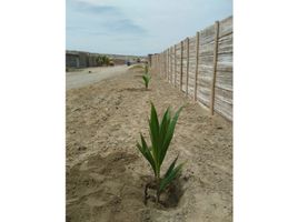  Land for sale in Paita, Piura, Colan, Paita