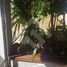 4 Habitación Casa en venta en Cordillera, Santiago, Pirque, Cordillera