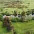  Terreno (Parcela) en venta en Chile, Valdivia, Valdivia, Los Ríos, Chile