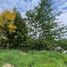  Terreno (Parcela) en venta en Chile, Valdivia, Valdivia, Los Ríos, Chile