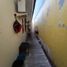 Maison 3 chambre à vendre à Cibitung, West Jawa, Cibitung
