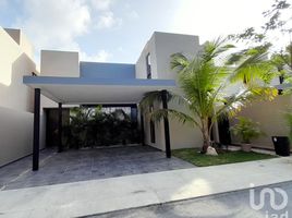 코즈멜, Quintana RooPropertyTypeNameBedroom, 코즈멜