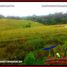  Land for sale in Selemadeg, Tabanan, Selemadeg