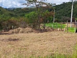  Land for sale in Garzon, Huila, Garzon