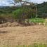  Land for sale in Garzon, Huila, Garzon