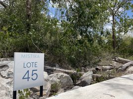  Grundstück zu verkaufen in Conkal, Yucatan, Conkal