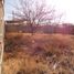  Land for sale in Aquiles Serdan, Chihuahua, Aquiles Serdan, Chihuahua