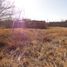  Land for sale in Aquiles Serdan, Chihuahua, Aquiles Serdan, Chihuahua
