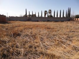  Land for sale in Aquiles Serdan, Chihuahua, Aquiles Serdan, Chihuahua