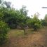 4 Bedroom House for sale in San Jode De Maipo, Cordillera, San Jode De Maipo
