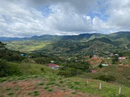  Terreno (Parcela) en venta en Dagua, Valle Del Cauca, Dagua