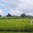  Land for sale in Denpasar Barat, Denpasar, Denpasar Barat