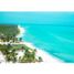  Land for sale in Celestun, Yucatan, Celestun