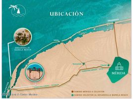  Land for sale in Celestun, Yucatan, Celestun