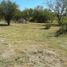  Grundstück zu verkaufen in Caleu Caleu, La Pampa, Caleu Caleu, La Pampa, Argentinien
