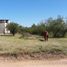  Grundstück zu verkaufen in Caleu Caleu, La Pampa, Caleu Caleu, La Pampa, Argentinien