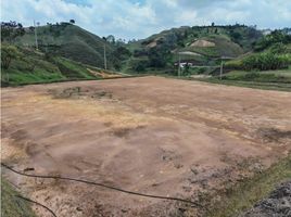  Terreno (Parcela) en venta en San Vicente, Antioquia, San Vicente