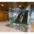 53 m² Office for rent in FazWaz.de, San Francisco, Panama City, Panama, Panama