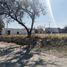  Terreno (Parcela) en venta en Guadalupe, Nuevo León, Guadalupe