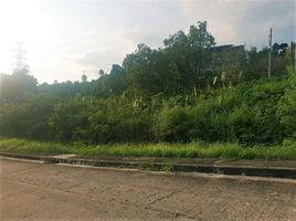  Land for sale in Talisay City, Cebu, Talisay City