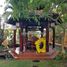 5 Bedroom House for sale in Thao Dien, Ho Chi Minh City, Thao Dien