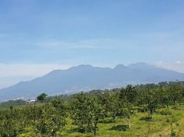  Land for sale in Malang Regency, East Jawa, Bumiaji, Malang Regency