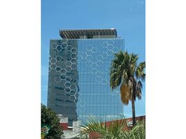 0 제곱미터입니다 Office for sale in 푸에블라, Ocoyucan, 푸에블라