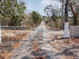  Land for sale in Emiliano Zapata, Veracruz, Emiliano Zapata