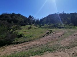  Land for sale in Chile, Quilpue, Valparaiso, Valparaiso, Chile