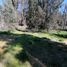  Land for sale in Chile, Quilpue, Valparaiso, Valparaiso, Chile