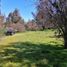  Land for sale in Chile, Quilpue, Valparaiso, Valparaiso, Chile
