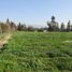  Land for sale in Chile, Quilpue, Valparaiso, Valparaiso, Chile