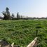  Land for sale in Chile, Quilpue, Valparaiso, Valparaiso, Chile