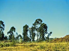  Terreno (Parcela) en venta en Chile, Viña del Mar, Valparaíso, Valparaíso, Chile